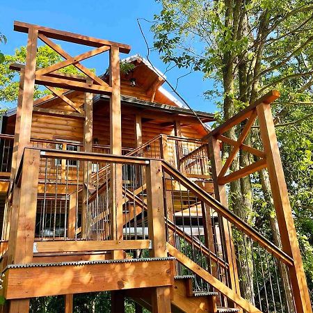 Cricket Hill Treehouse By Amish Country Lodging Millersburg Exterior foto